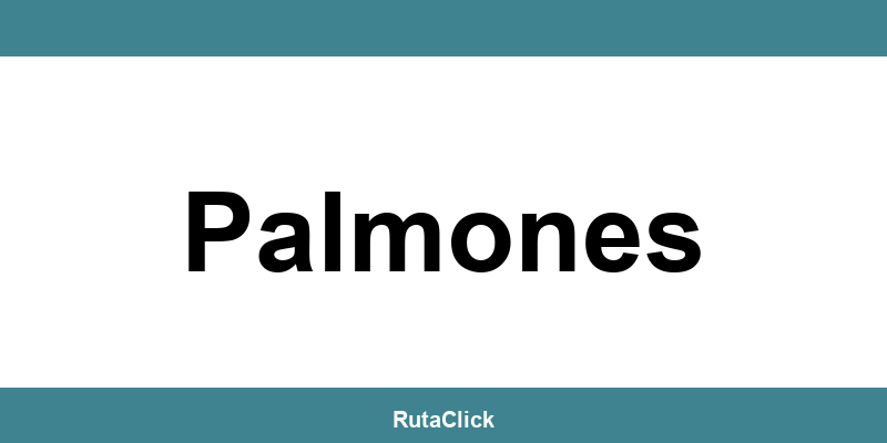 Teléfono gratuito de contacto con Correos Express en Palmones