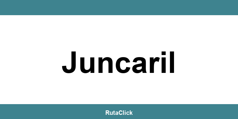 Teléfono gratuito de contacto con Correos Express en Juncaril